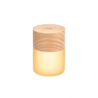 Imagen de Gingko Design 7 luces nocturnas RGB Lemelia que cambian de color, 6 cm alto, batería larga duración, carga USB, 2 modos luz, certificado FSC (ceniza blanca), G026