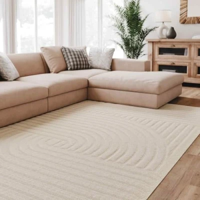 Imagen de Interiyou Fargo Alfombra Salon Grande 120 x 170 cm Crema de Pelo Largo alfombras habitacion Lavable y Antideslizante tapete Quarto