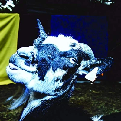 Imagen de Day Trip To The Petting Z Vinilo