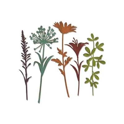 Imagen de Sizzix Thinlits Troqueles 5PK Tallos de flores silvestres #2