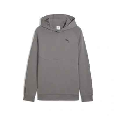 Imagen de Puma Jersey con capucha, Hombre, Talla: Large, Cast iron