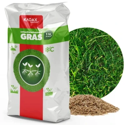 Imagen de semillas de césped KADAX, césped, crecimiento rápido (1 kg)