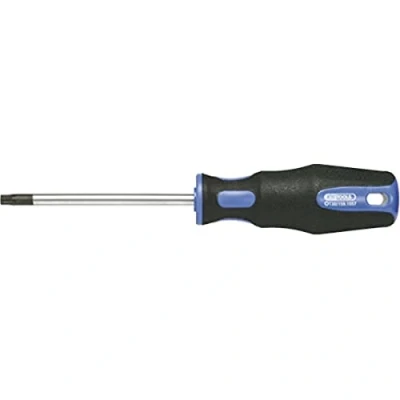 Imagen de KS TOOLS 159.1055 E Destornillador TB25 205, 100 con orificio frontal, Torx
