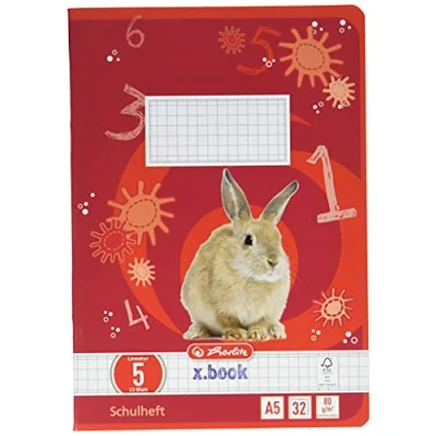 Imagen de herlitz Schulheft x.book, DIN A5, Lineatur 5 / kariert