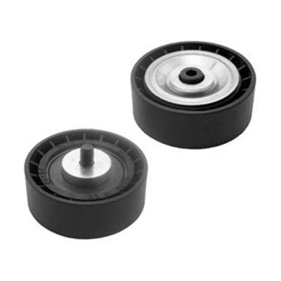 Imagen de MAGNETI MARELLI 331316170355 Rodillo guía/desviación, correa trapecial