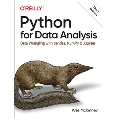 Imagen de Python For Data Analysis 3e: Wrangling With Pandas Numpy And Jupy