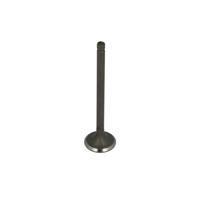 Imagen de FRECCIA R6612/RNT válvula de Escape 22,88 Vástago nitrurado