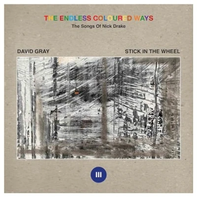 Imagen de the Endless Coloured Ways: Songs of Nick Drake Vol.3 [Vinilo]