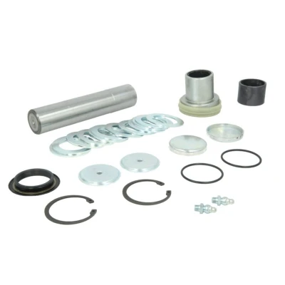 Imagen de Kit de reparación, pivote C.E.I 230130