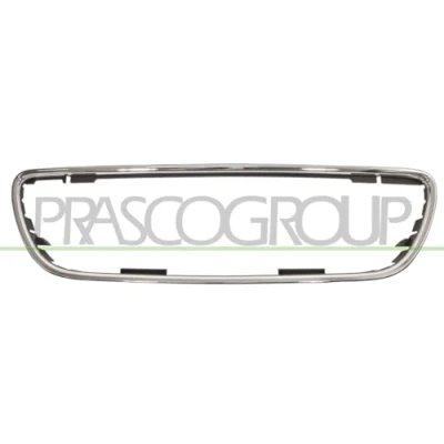 Imagen de PRASCO DS0142305 Listón embellecedor/protector, panal de radiador