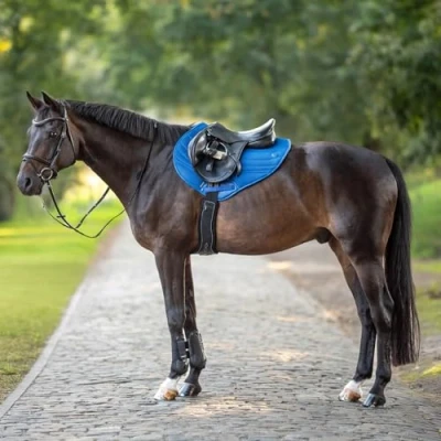Imagen de Busse Saddlepad 3D Air Effect