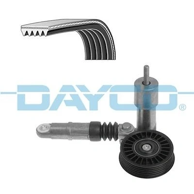 Imagen de DAYCO KPV254 Juego de correas trapeciales poli V VOLKSWAGEN: Golf 4, 4 Variant