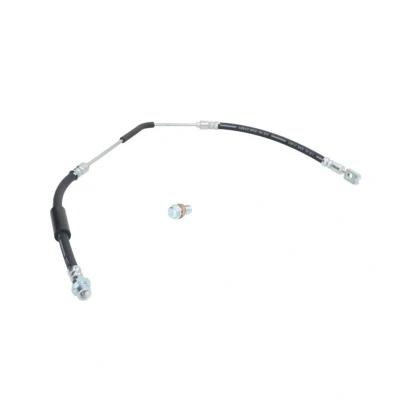 Imagen de DELPHI LH7076 Latiguillos de Freno Banjo LAND ROVER: Range Rover 3