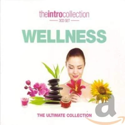 Imagen de Wellness The Intro Collection 3 Cd Varios