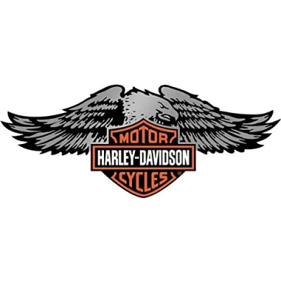 Imagen de Pegatinas retro reflectantes para casco Harley Davidson Eagle