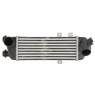 Imagen de THERMOTEC DA05001TT Intercooler 314 128 64