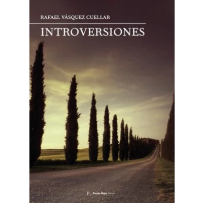 Imagen de Introversiones