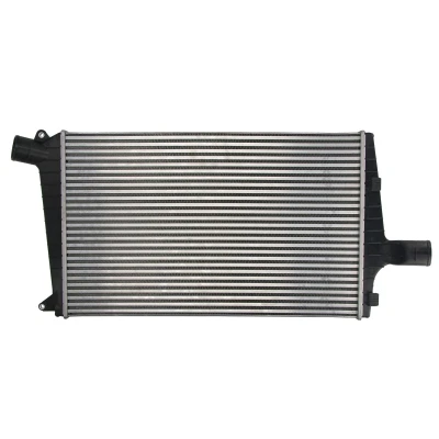 Imagen de Intercooler THERMOTEC DAA027TT