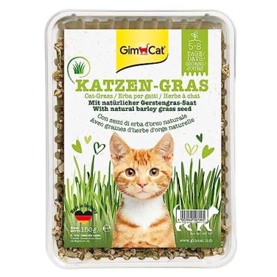 Imagen de GimCat Hierba para Gatos 150 g con cría rápida en sólo 5 a 8 días 1 Cuenco (1 x g)