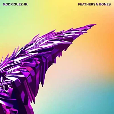 Imagen de Feathers &amp; Bones [Vinilo]