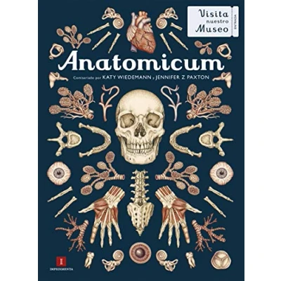 Imagen de Anatomicum: 29 (EL CHICO AMARILLO)