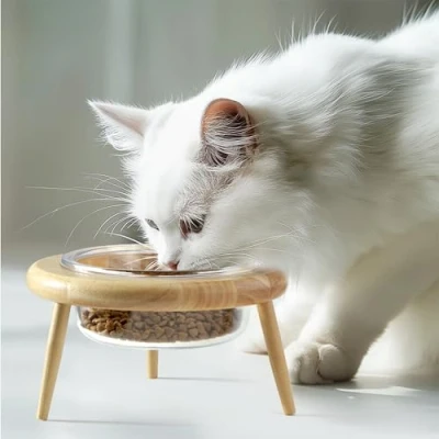 Imagen de Navaris Comedero Perro Elevado para Gatos y Perros de Cristal 600 ml Patas Madera con Altura Ajustable Cuenco 19 x 13,5 cm