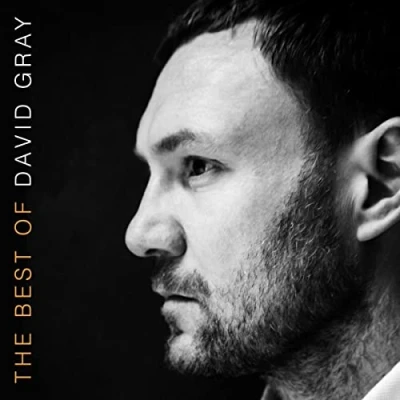Imagen de The Best Of David Gray [Vinilo]