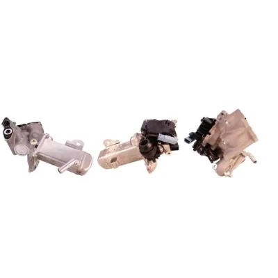 Imagen de ELSTOCK 73 0086 Válvula EGR eléctrico con juntas, radiator PEUGEOT: 5008 I, 407 Berlina, 3008 CITROËN: C4 Picasso 1, C5 3