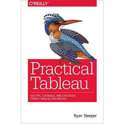 Imagen de Practical Tableau