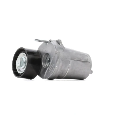 Imagen de SKF VKM 38339 Polea Tensora BMW: X6, 3 Berlina, 1 Hatchback
