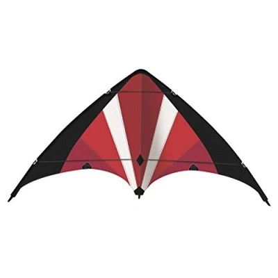 Imagen de GÜNTHER FLUGSPIELE Paul 1070 Cometa Deportiva Power Move 130, para Principiantes, Vela de poliéster Ripstop Resistente, Varillas Fibra Vidrio, con Ruedas e Instrucciones, Aprox. 130 x 69 cm