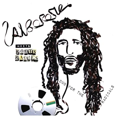 Imagen de Alborosie Meets Roots Radics Dub For The Radicals [Vinilo]