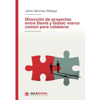 Imagen de Dirección de proyectos entre David y Goliat: marco común para colaborar