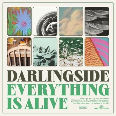 Imagen de Everything is alive [Vinilo]