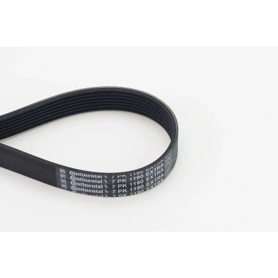 Imagen de CONTITECH 7PK1190 EXTRA Correa trapecial poli V 1190 7 VOLVO: XC60 II, XC40, V90 II Familiar
