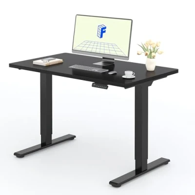 Imagen de FLEXISPOT 2 Motor Escritorio Elevable Eléctrico 120x60 con Una Tabla de Mesa Completa, Panel Memoria, Regulable en Altura, 100KG Carga, Negro+Negro