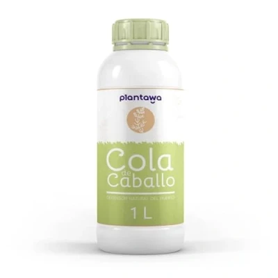 Imagen de PLANTAWA Cola de Caballo, Equisetum Arvense, Control Hongos, Botrytis, Mildiu, Oidio, Araña Roja, Phytopthora SP, Alternaria, 100% Natural, 1L