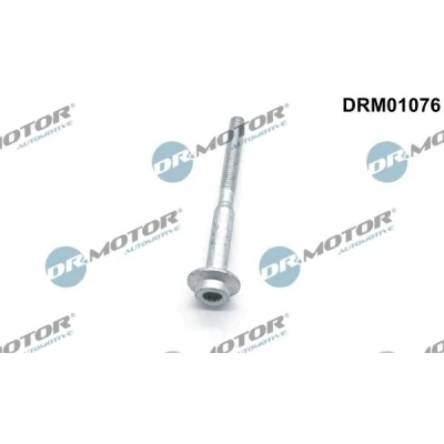 Imagen de DR.MOTOR AUTOMOTIVE DRM01076 Tornillo, soporte inyector VOLKSWAGEN: Touran I, GOLF 6, Polo V Hatchback, AUDI: A3 Sportback, Hatchback