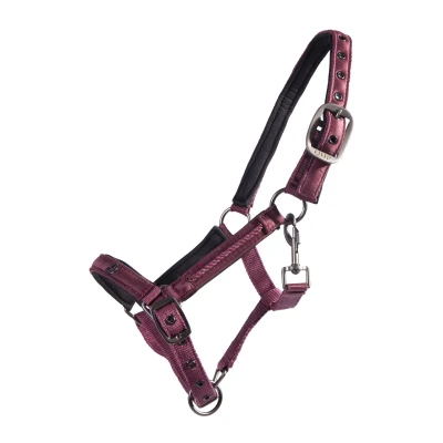 Imagen de QHP Foal Halter Lily