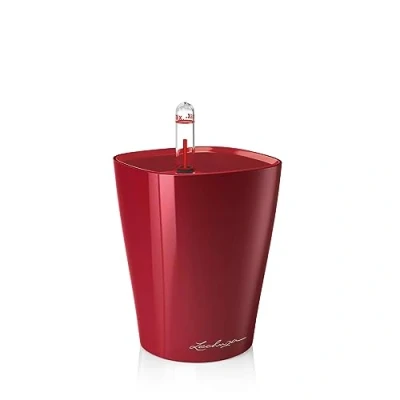 Imagen de LECHUZA Mini DELTINI Rojo Escarlata Muy Brillante 14960