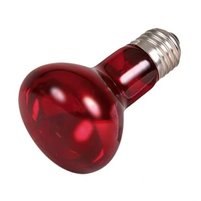 Imagen de Trixie Lámpara Calefactante Infrarrojo, ø63x100mm, 50 W