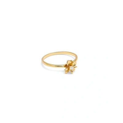 Imagen de SINGULARU Anillo Gardenia. Latón con Baño en Oro de 18 Kt y Circonita. Joyas Para Mujer. Talla 18.
