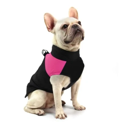 Imagen de FEimaX Abrigo para Perro Impermeable Chaqueta Cálido de Invierno y Otoño, Ropa Algodón Perros Pequeños Medianos Grandes Mascotas Chaleco Cachorro Gato Clima Frio