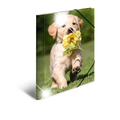 Imagen de HERMA 19327 carpeta de dibujo Animales brillante con motivo Canino, A4, plástico resistente, impresión interior, 1 palmo