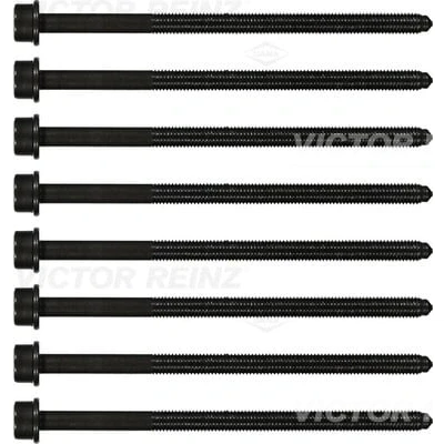 Imagen de REINZ 14 32382 01 Juego de Tornillos Culata dentado interior AUDI: A8 D4, A6 C7 Berlina, VOLKSWAGEN: Touareg II