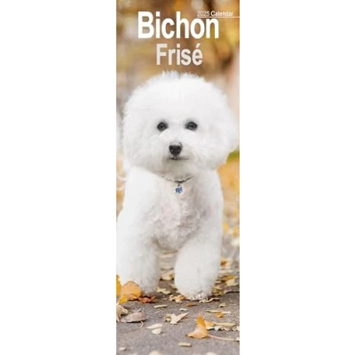 Imagen de Bichon Frise Slim Calendar 2025 Dog Breed Slimline 12 Month: Original Avonside Kalender [Mehrsprachig] [Kalender]