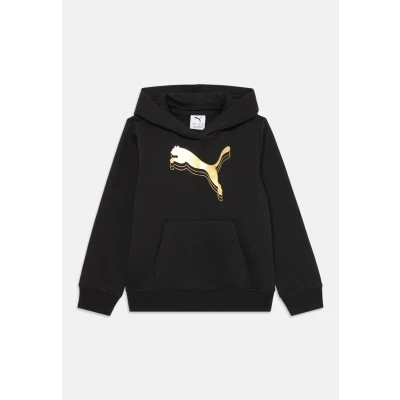 Imagen de Sudadera con estampado metálico y capucha Essentials juvenil