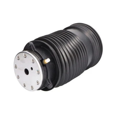 Imagen de Magnum Technology MZM020MT Muelle neumático, suspensión Eje trasero, derecha