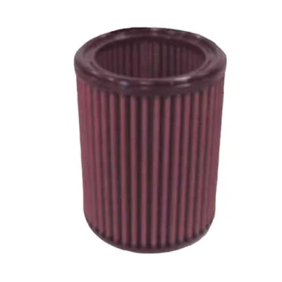 Imagen de K&amp;N E 9183 Filtro de Aire Coche