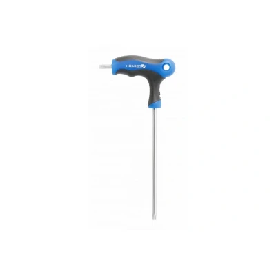 Imagen de Hogert Technik HT1W871 Llave de cubo 100 T20 Acero para herramientas